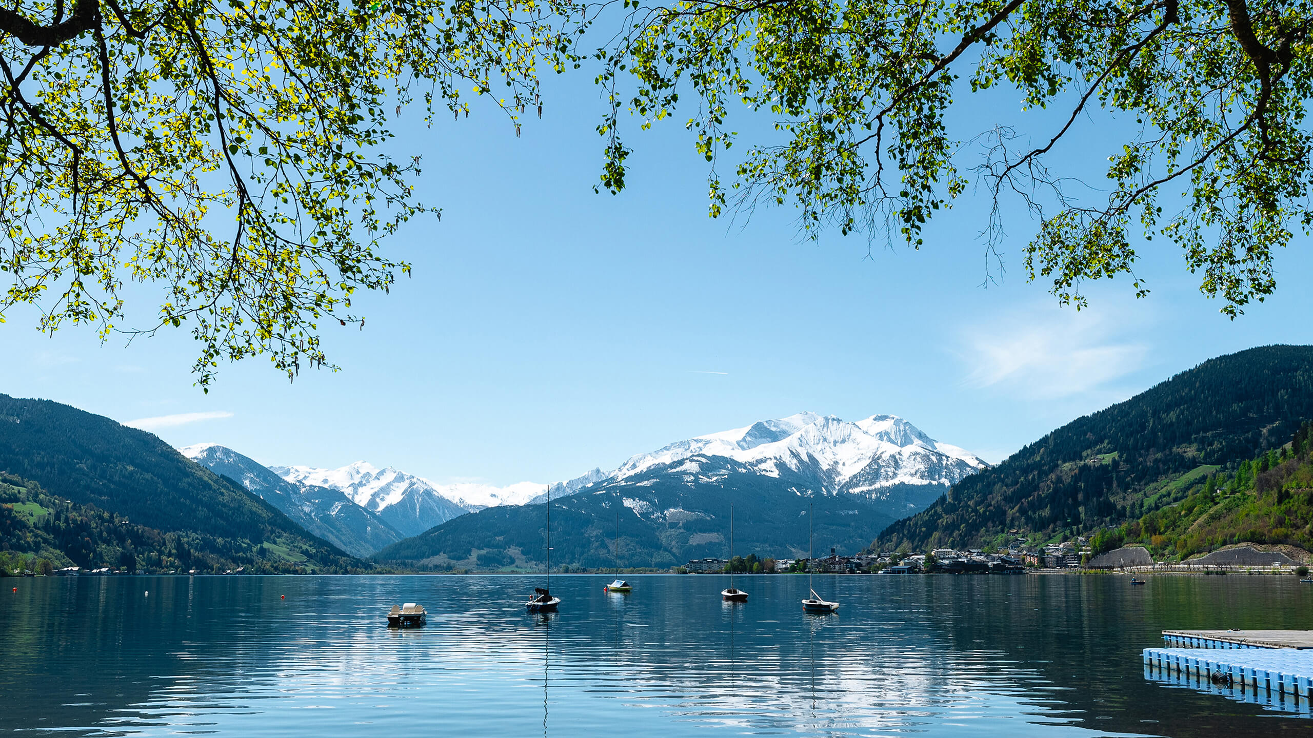 Zeller See im Frühling