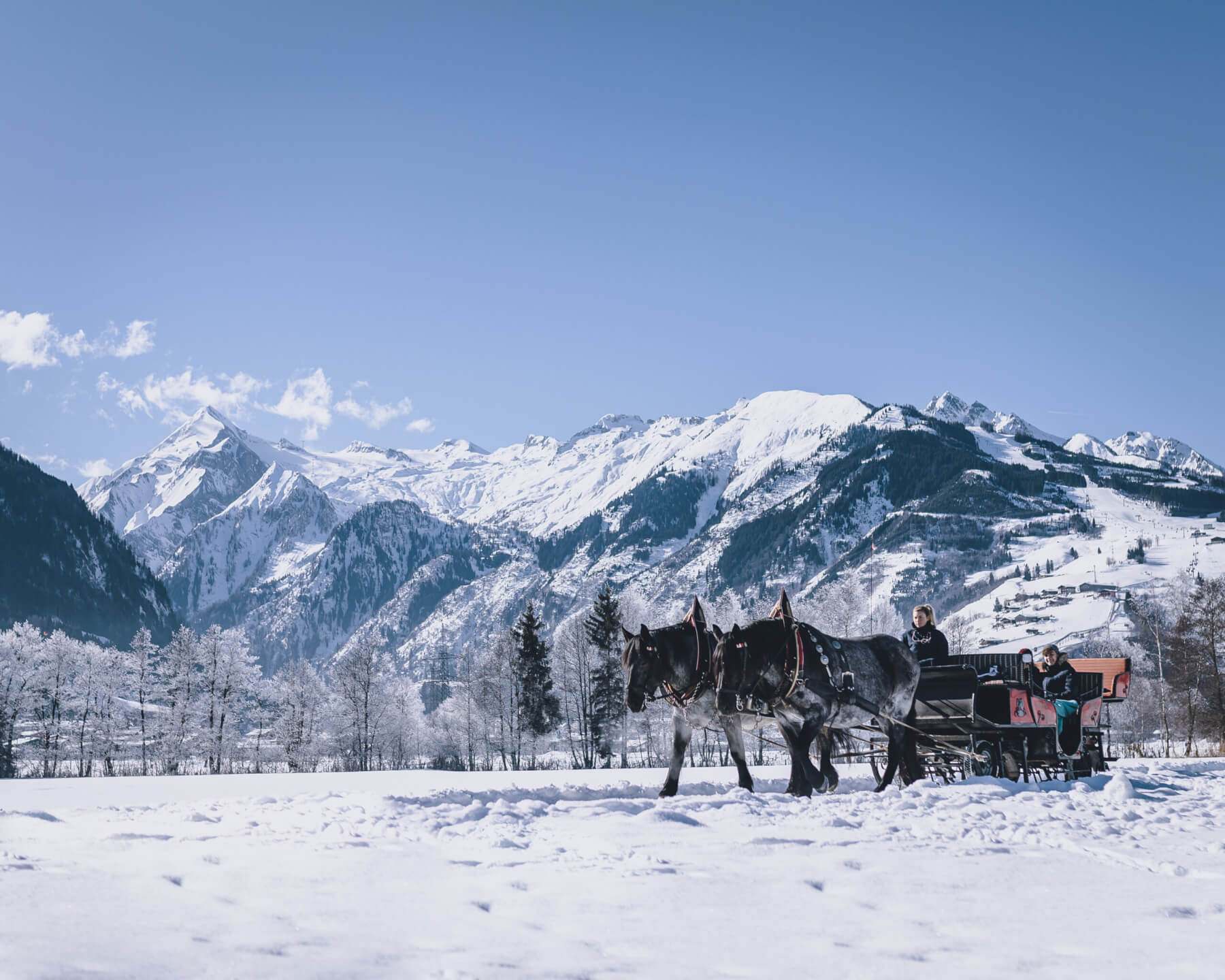 Pferdeschlittenfahrt im Winter